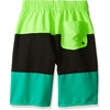 image:imageSpeedo Boys Swim Trunk Knee Length Blocked VolleyDiscontinuedSport Neon
