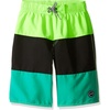 image:imageSpeedo Boys Swim Trunk Knee Length Blocked VolleyDiscontinuedSport Neon