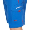 image:imageSpeedo Mens Swim Trunk Knee Length Marina Sport VolleyPalace BlueSpicy Orange