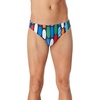 Speedo Graphic Red