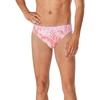 Wayback Bay Sun Kissed Coral
