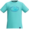 Arctic Glass