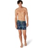 image:imageSpeedo Mens Swim Trunk Short Length Redondo StripedPlankton World