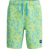 image:imageSpeedo Boys Swim Trunk Mid Length Redondo PrintedArctic Glass
