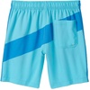 image:imageSpeedo 87784569440S 18 Inch Colorblock Volley Blue S