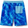 image:imageSpeedo Boys Swim Trunk Knee Length Boardshort EBoard PrintedSea Basin Beach Glass