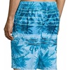 image:imageSpeedo Mens Palm Stripe EBoard Swim Trunk Shorts Ocean Breeze Small