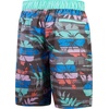 image:imageSpeedo Mens Swim Trunk Knee Length Boardshort Bondi Striped20 Maison Floral
