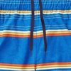 image:imageSpeedo Mens Swim Trunk Knee Length Tech VolleySpeedo Blue Stripe