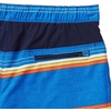 image:imageSpeedo Mens Swim Trunk Knee Length Tech VolleySpeedo Blue Stripe