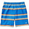 image:imageSpeedo Mens Swim Trunk Knee Length Tech VolleySpeedo Blue Stripe