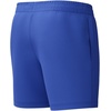 image:imageSpeedo Printed Leisure 16 Swim Trunks MenCobalt Pop