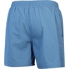 image:imageSpeedo Printed Leisure 16 Swim Trunks MenWashed Blue
