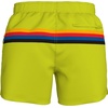 image:imageSpeedo Swim Trunk Short Length Redondo StripedHorizontal Bitterlime