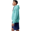 image:imageSpeedo UnisexAdult Sweatshirt Hoodie Pull Over BasicArctic Glass